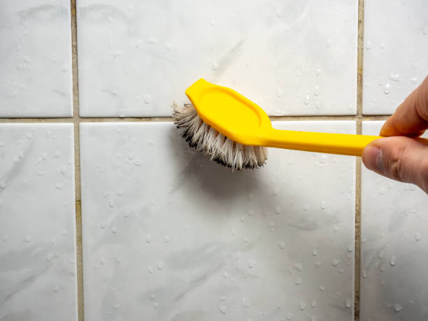 Best Mold Cleaning Services  in Industry, PA