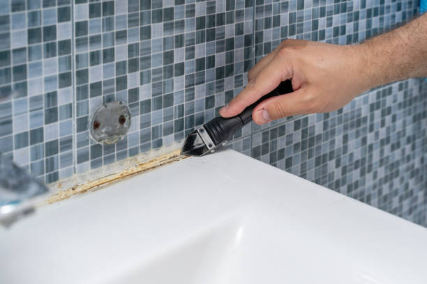 Best Commercial Mold Removal  in Industry, PA