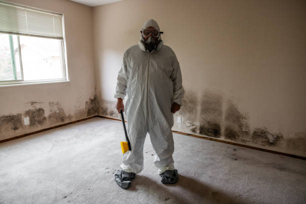 Best Emergency Mold Removal  in Industry, PA